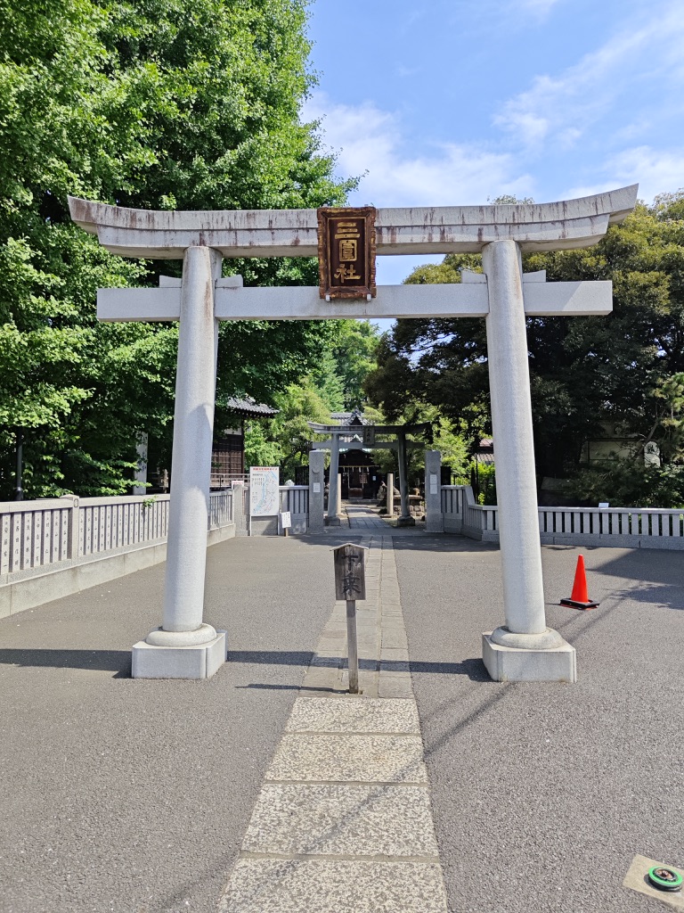 Image 8